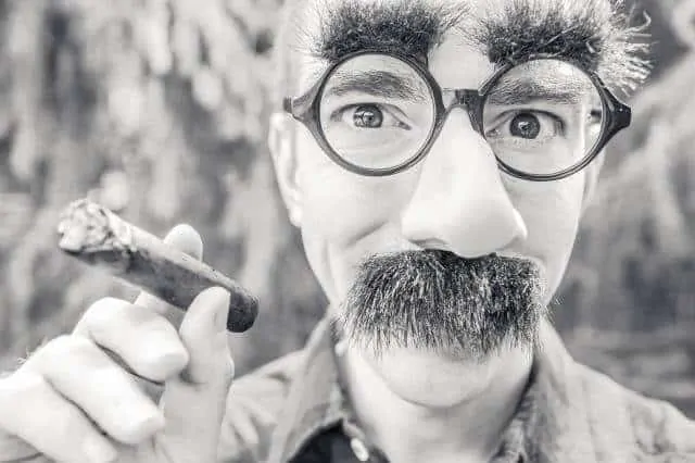 Disguised Man Holding Cigar